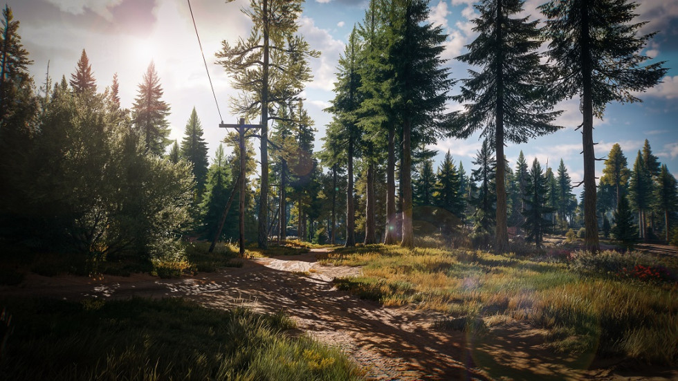 Forests of Brandenburg - Expanding the location