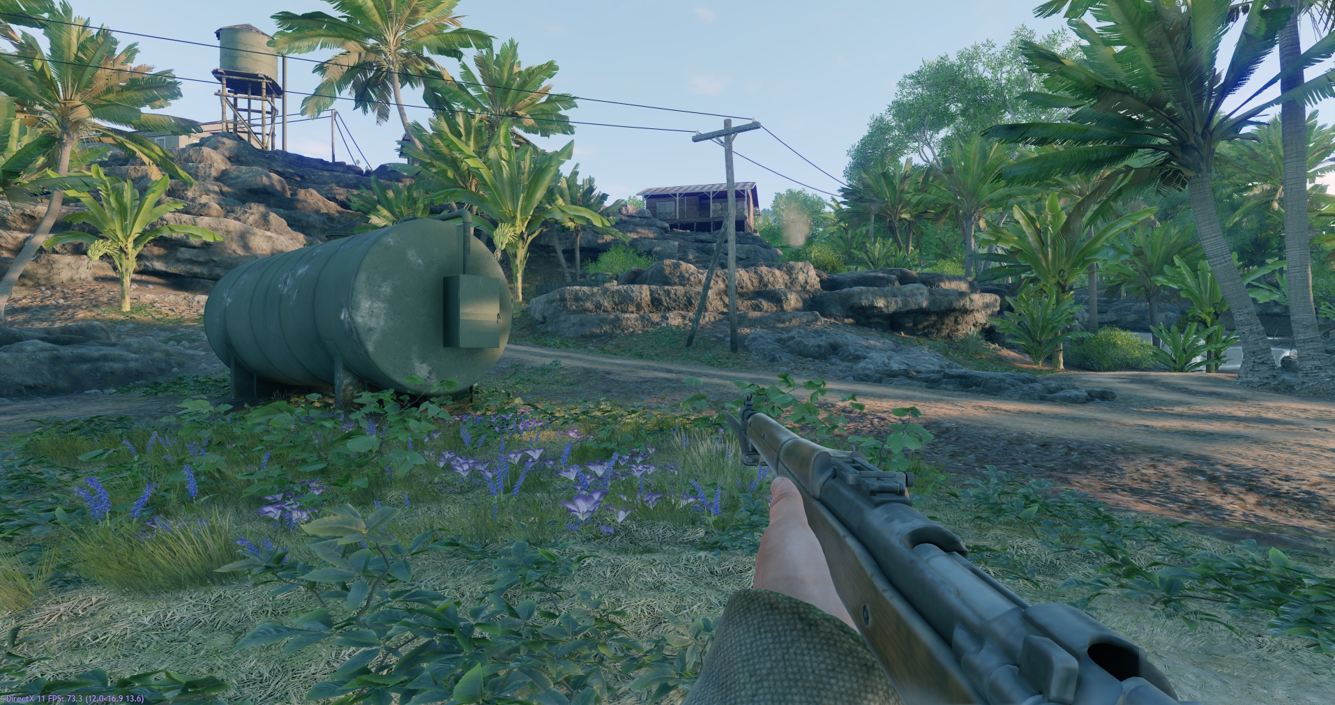 An example of a picture with the low graphics settings